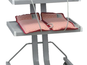 HM- 2SC - A Máy điều trị từ rung nhiệt 2 kênh