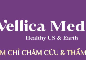 CHỈ WELLICA