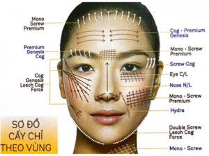 Tính năng chỉ Wellica